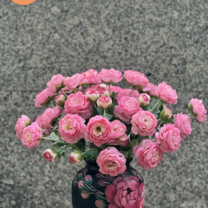 MẪU 2